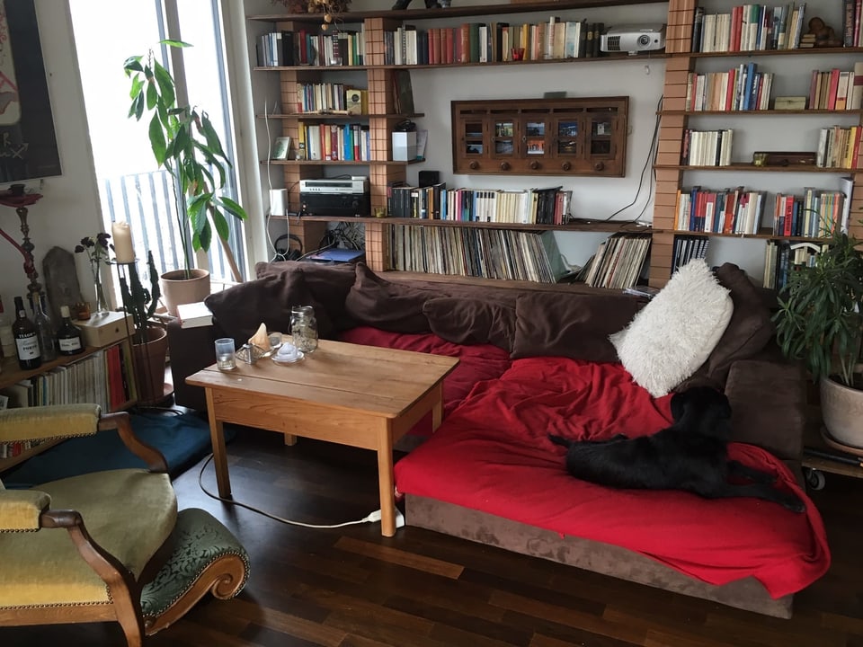 Sofa mit braunen und roten Kissen. Dahinter ein grosses Bücherregal.