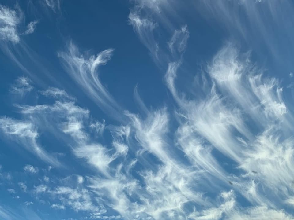 Spezielle Wolkenfelder in Hakenform.