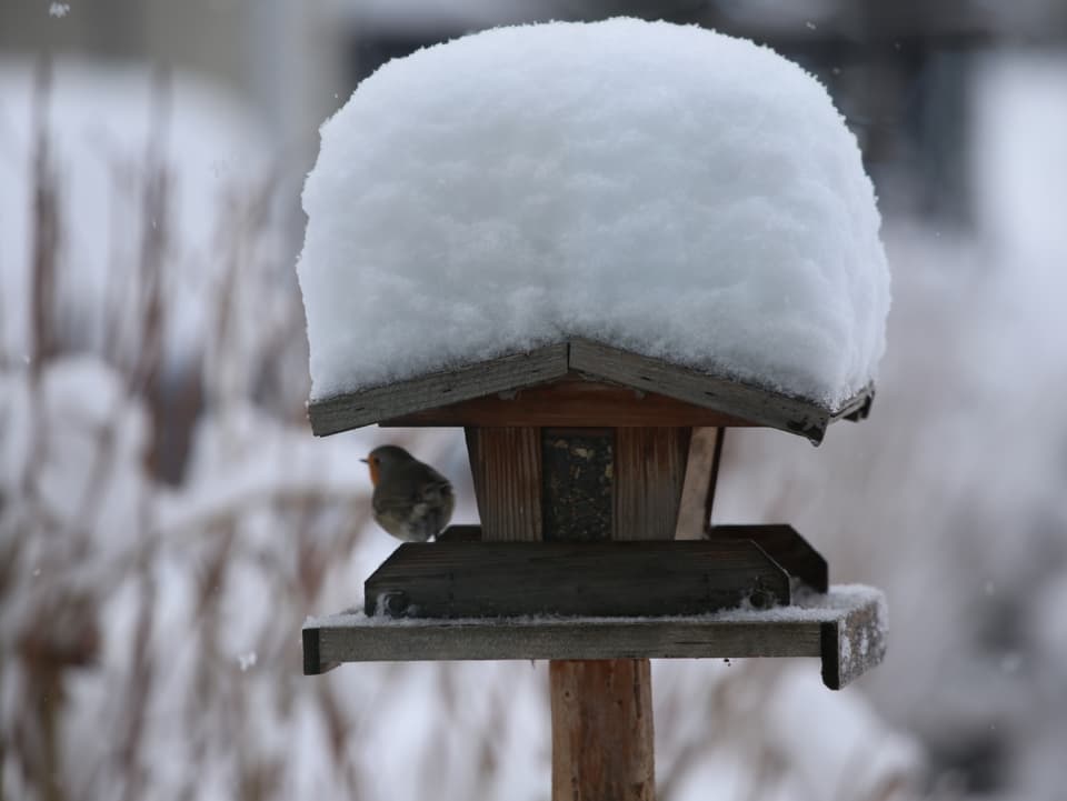 Ein Vogelhäuschen mit Schnee auf dem Dach.