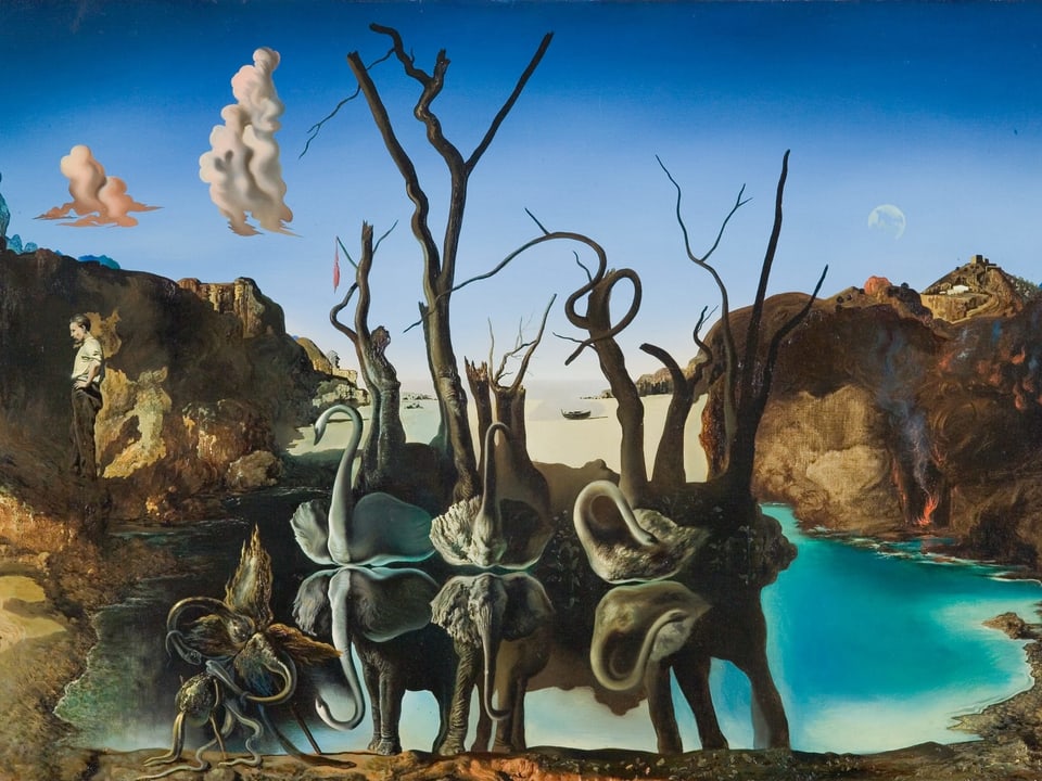 Bild von Salvador Dalí mit sich spiegelnden Elefanten