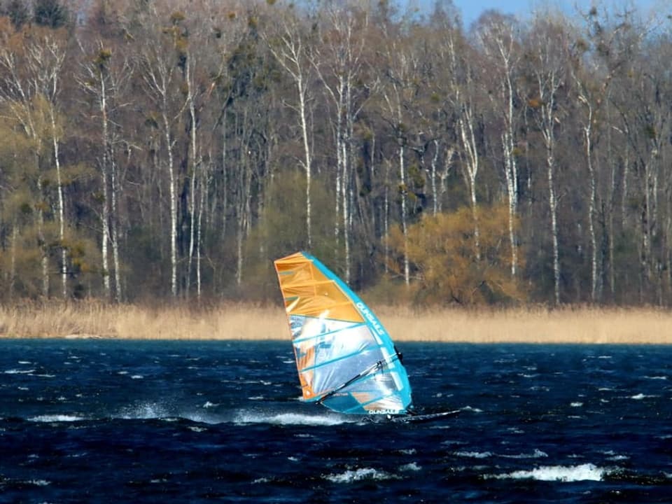 Windsurfer auf einem See vor einem Wald
