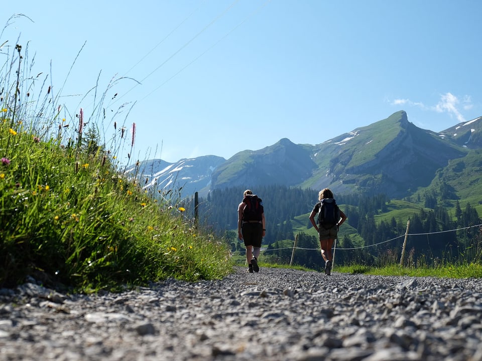 Zwei Wanderinnen auf dem Wanderweg, im Hintergund die Berge.
