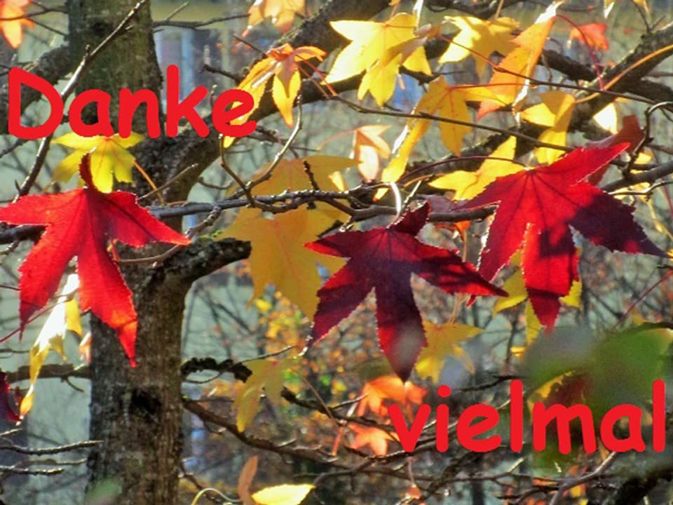 Farbige Herbstblätter mit Schriftzug «Danke vielmal».