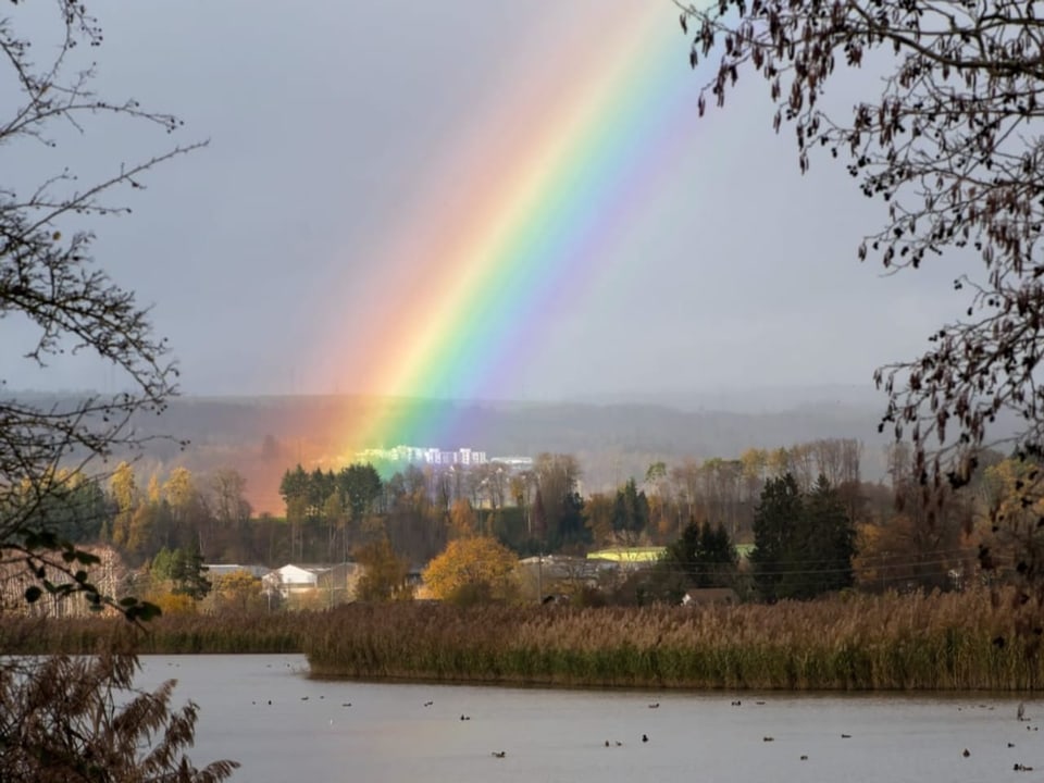 Regenbogen in aller Farbenpracht