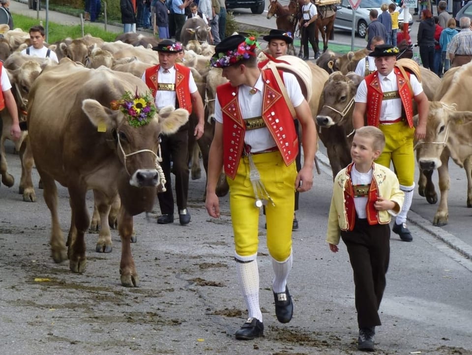 Viehschau in Speicher mit Sennen in ihren traditionellen Trachten mit roten Westen und gelben Hosen.