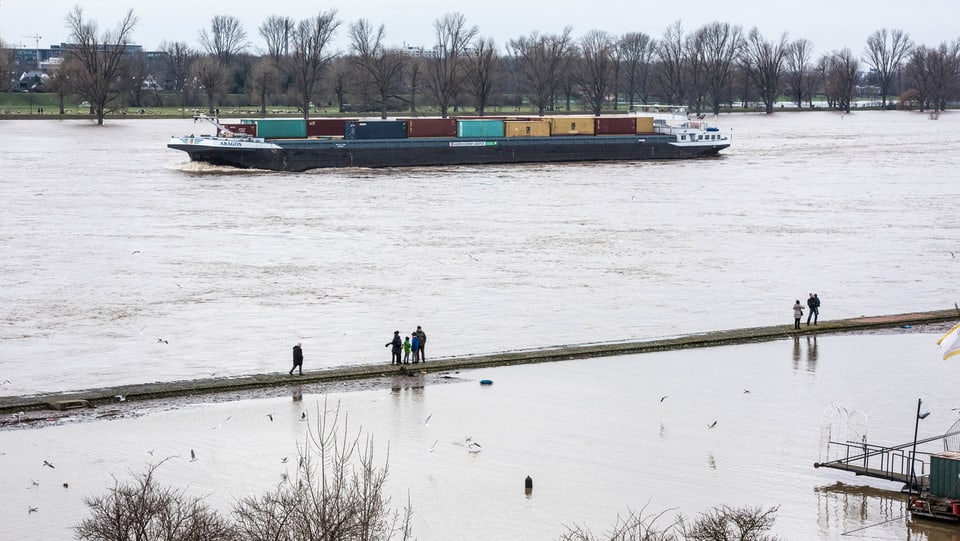 Containerschiff auf Rhein, überschwemmtes Ufer.
