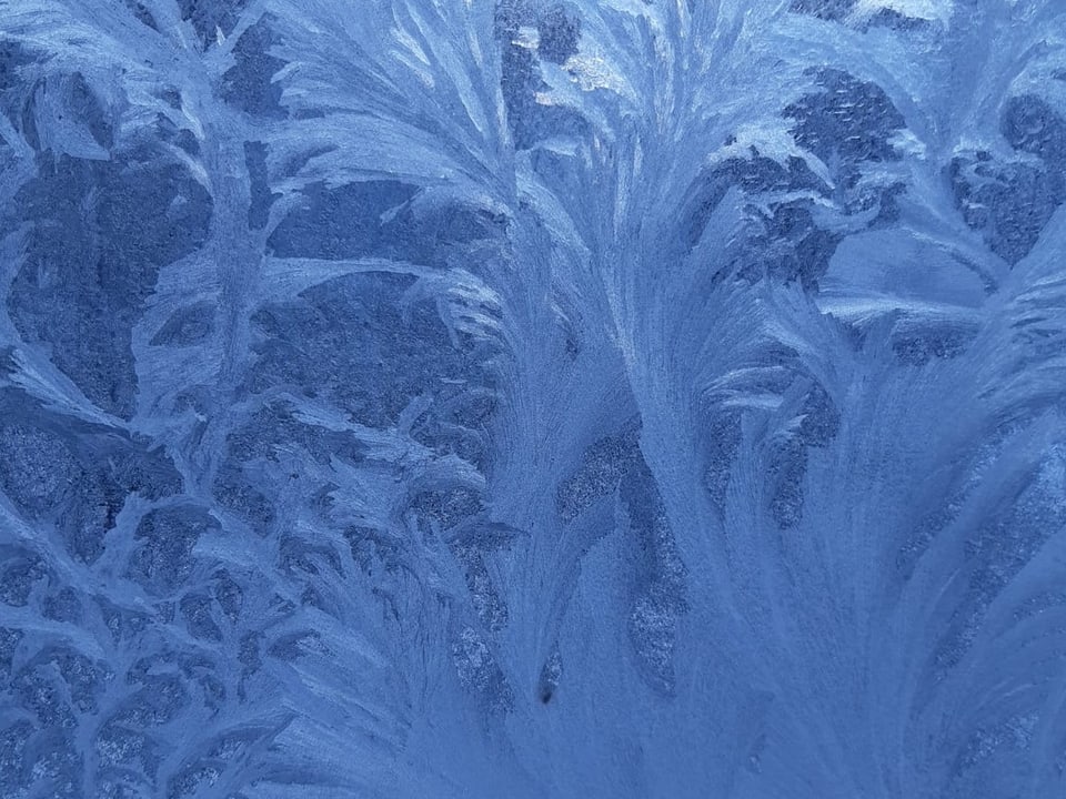 Eisblumen an einem Fenster.