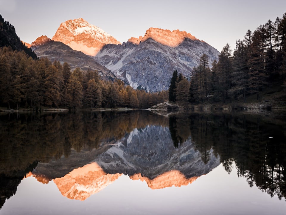Schneeberge spiegel sich im See, goldene Lärchen.