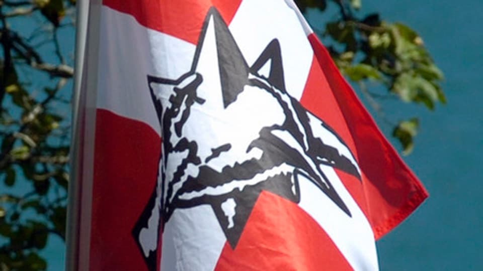 Fahne mit Pnos-Logo