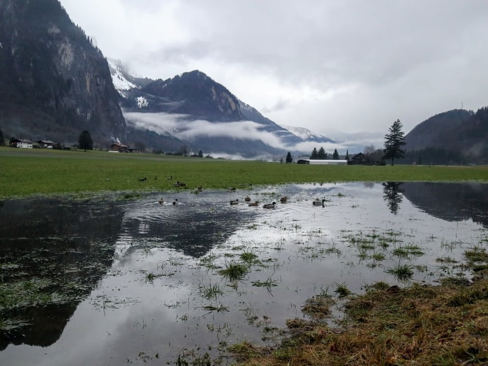 Blick in ein Tal unter dunklen Regenwolken und einer grossen Pfütze im Vordergrund