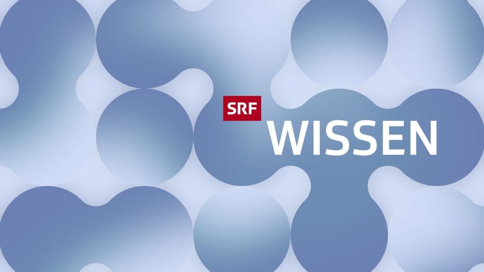 Unter dem Namen «SRF Wissen» starten diese Woche gleich zwei neue Kultur-Hubs: im Web und auf Youtube.