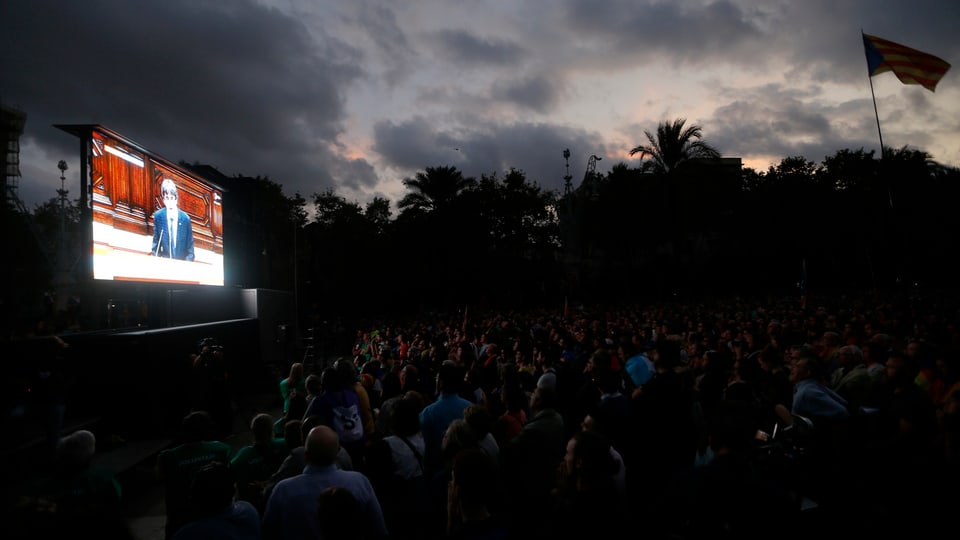 Tausende Menschen schauen unter Palmen auf eine Grossleinwand, auf der Puigdemonts Rede übertragen wird.