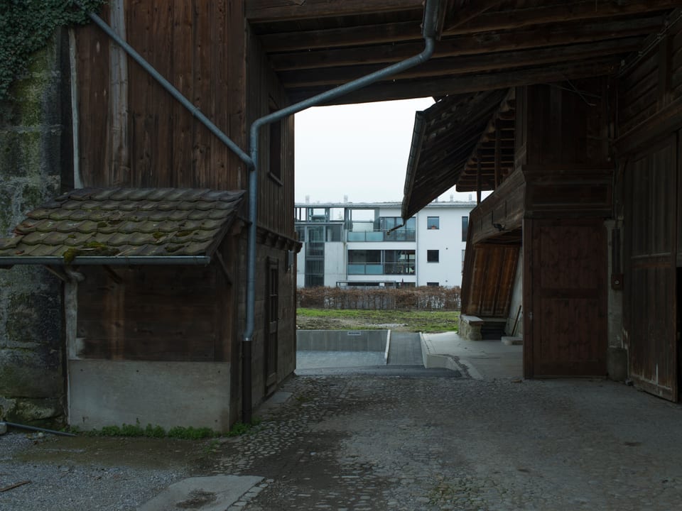 Eine altes Bauernhaus eingezäumt von Klötzli-Neubauten.