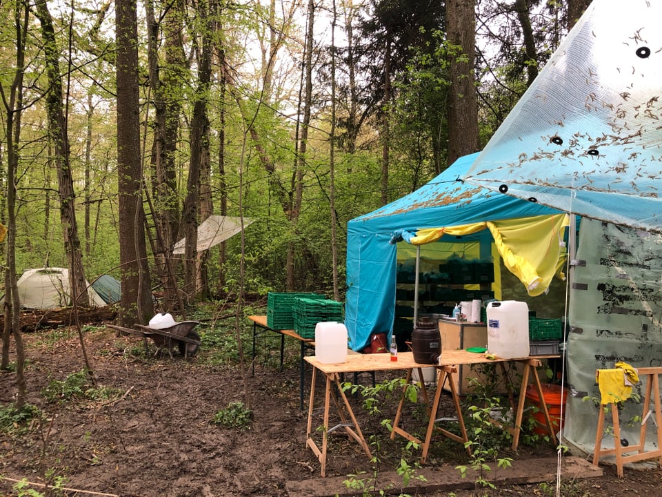 Im Camp der Aktivisten befinden sich zahlreiche Zelte, in denen die Aktivisten leben.