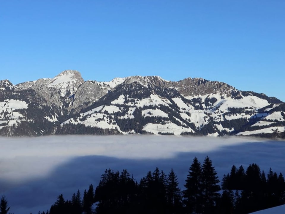 Springenboden, Diemtigtal / BE Hochnebelmeer