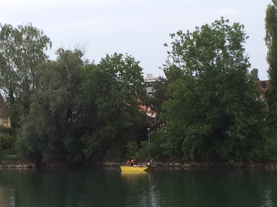 Gelbes Boot am Aare-Ufer