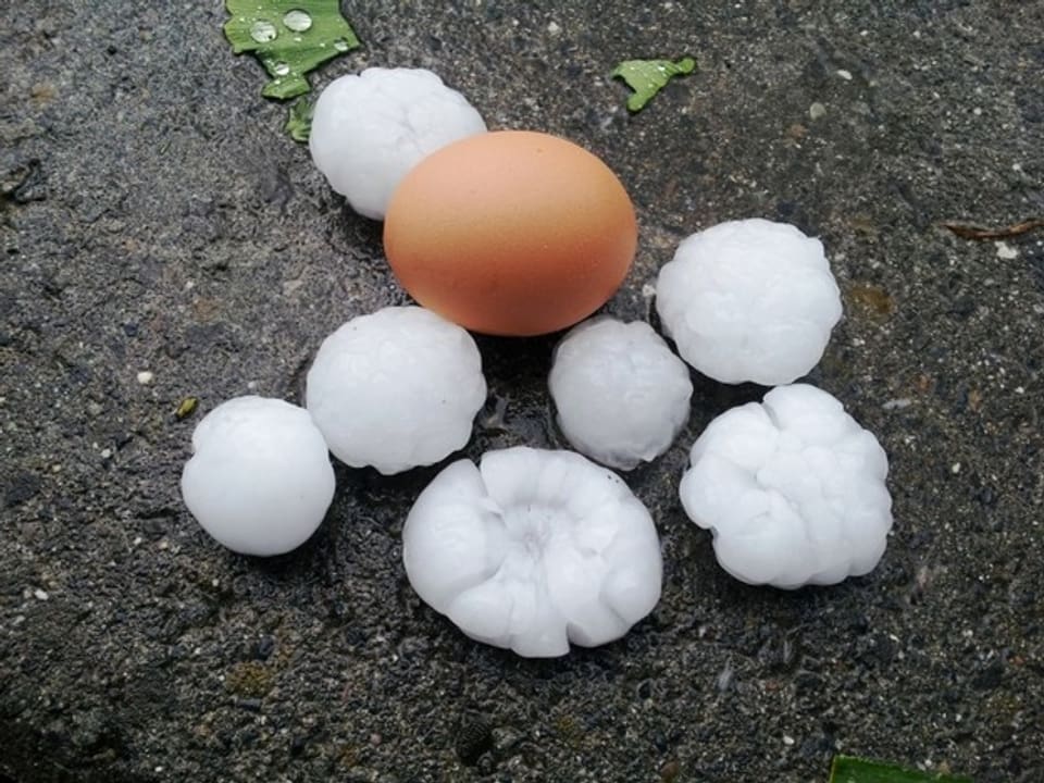In der Mitte ein braunes Hühnerei, darum herum einige grosse Hagelkörner in weiss. 