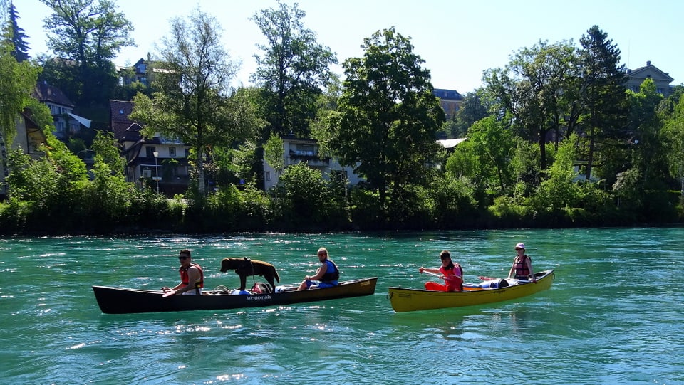 Kanus auf der Aare bei Bern