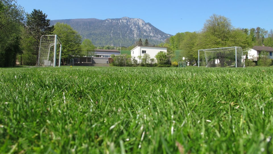 Rasen des Sportplatzes aus der Froschperspektive, links und rechts steht je ein Fussballtor.