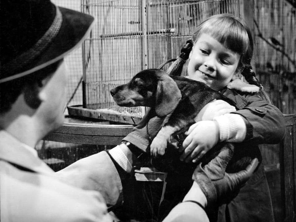 Ein Mann mit Lederhandschuhen überreicht einem kleinen Mädchen einen kleinen Hund. Das Mädchen lächelt.