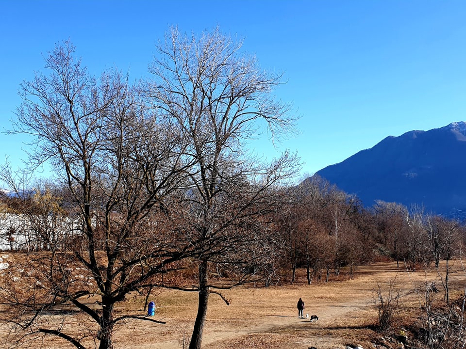 Wolkenlos schön und warm heute im Tessin