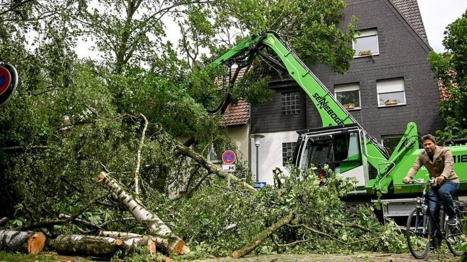 Kran befreit Haus von umgestürzten Bäumen