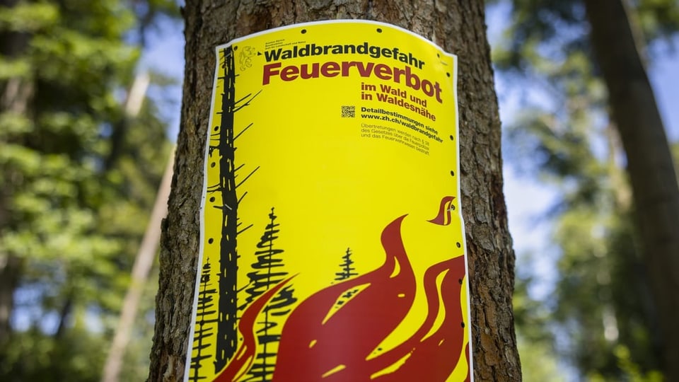 An einem Baum hängt ein Schild, dass Feuer wegen Waldbrandgefahr verbietet.