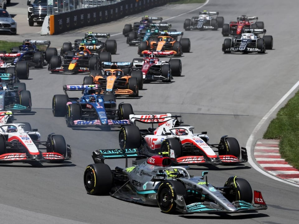 Das Fahrerfeld in der Formel 1