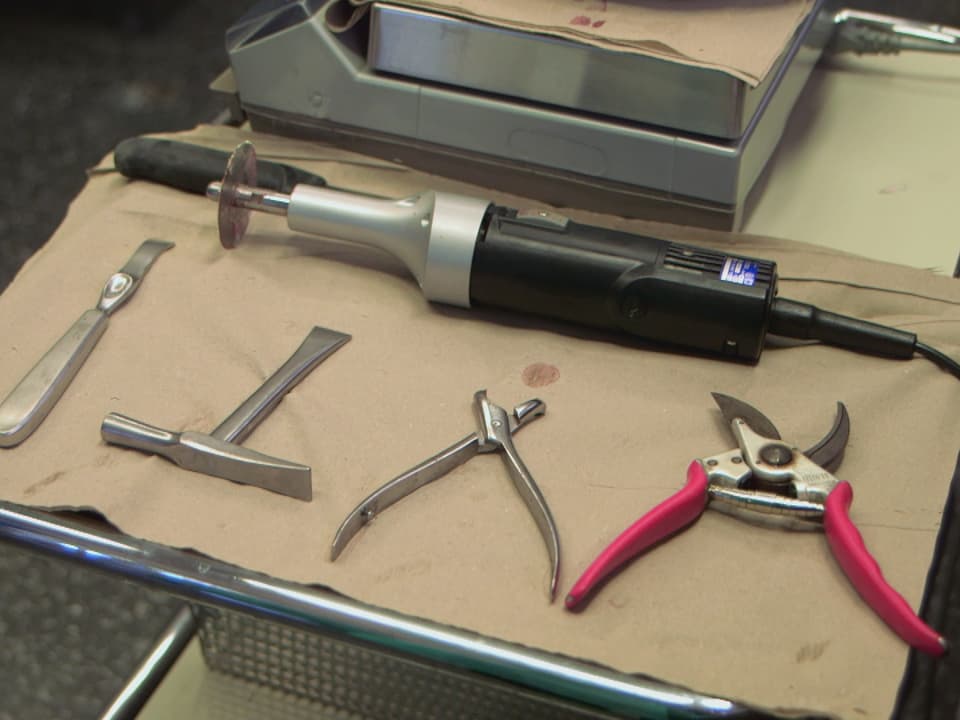 Auf einem Tisch liegen verschiedene Werkzeuge, die bei einer Obduktion gebraucht werden.