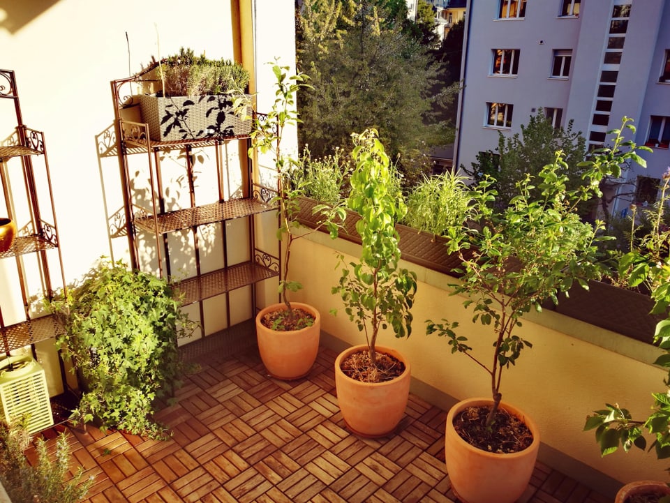 Bepflanzter Balkon