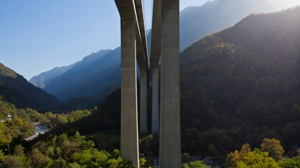 Autobahnviadukt, das durch den Wald und ein Tal führt.