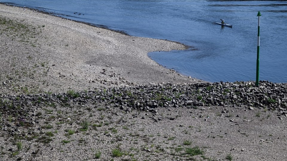 Tiefer Pegelstand des Rheins bei Düsseldorf (11.08.22)