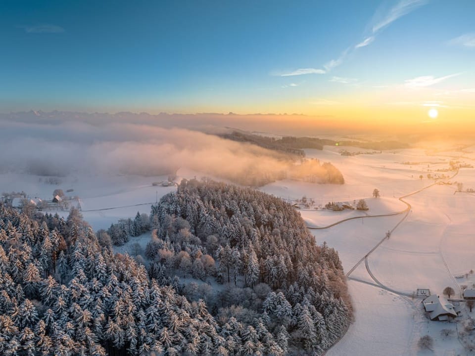 Blick von oben auf winterliche Landschaft. Zuvorderst sind schneebedeckte Tannen, dahinter schneebedeckte Flächen.