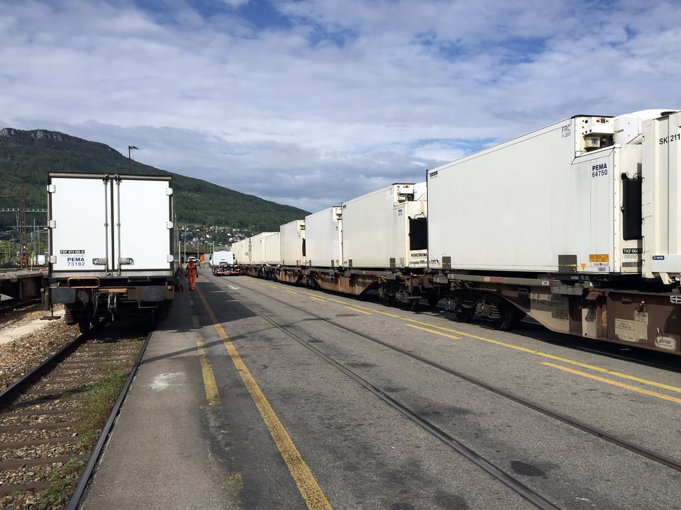 Langer Güterzug mit Containern