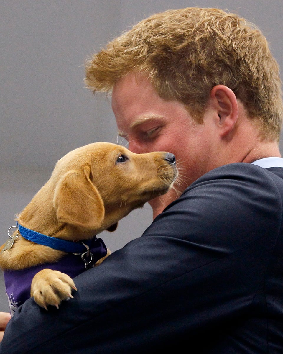 Prinz Harry knuddelt einen Hund