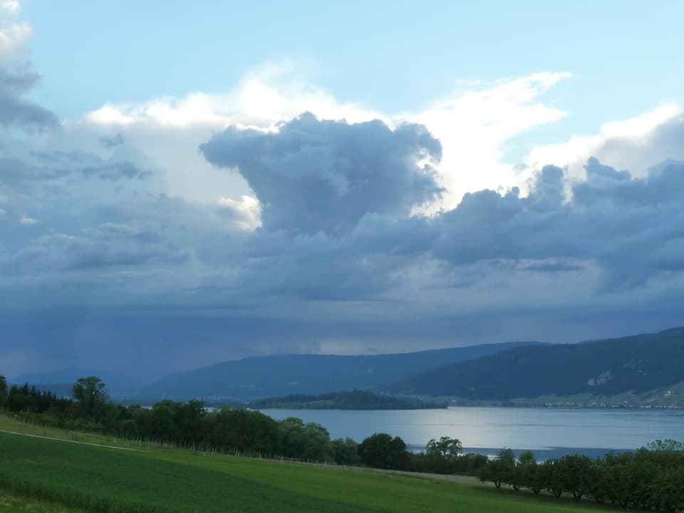 Blick vom Weinberg hinunter zum See und im Hintergrund auf die Jurazüge. Im Jura hat es viele Wolken und man sieht Vorhänge mit Regen. 
