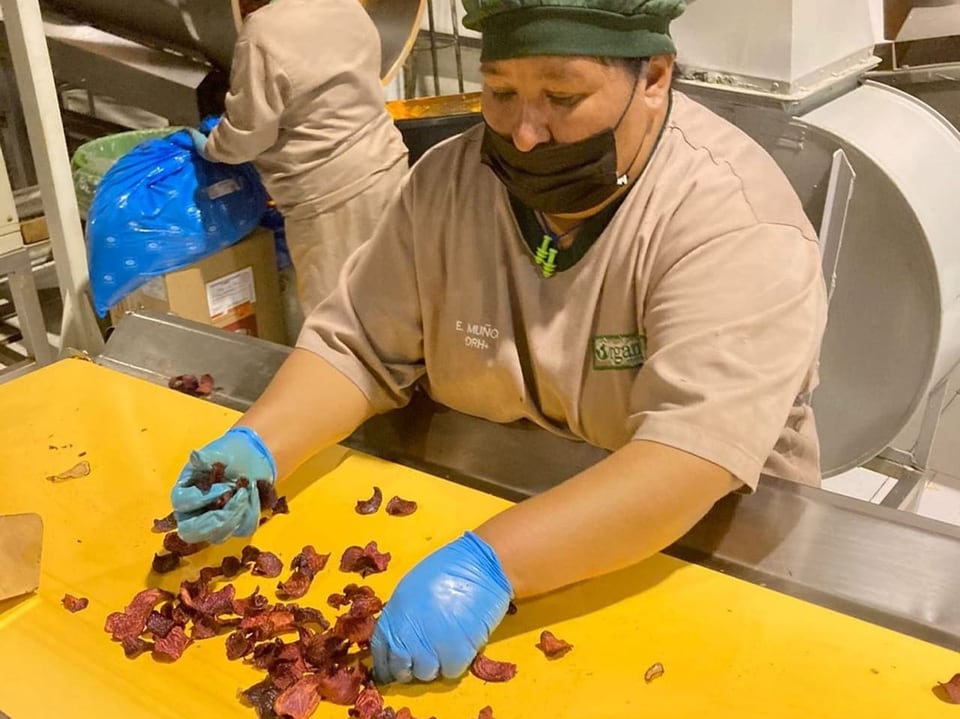 Eine Fabrik-Arbeiterin nimmt von Hand mangelhafte Chips vom Fliessband.