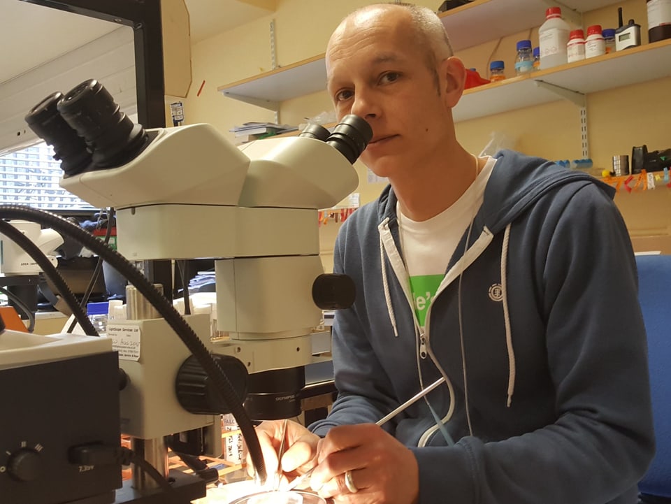 Matthias Landgraf am Mikroskop