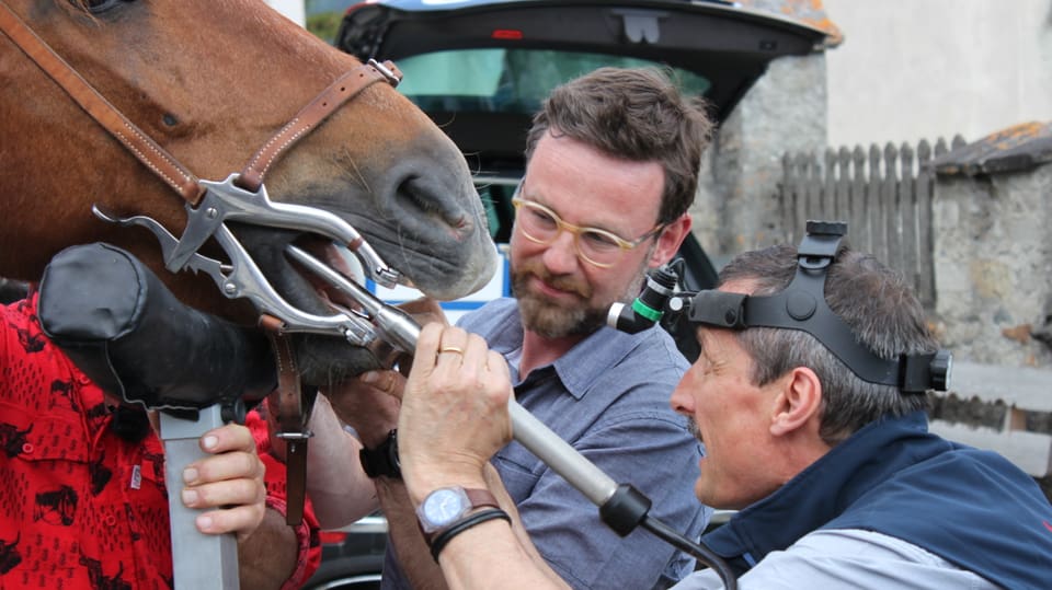 Nik Hartmann assisistiert Pferdezahnarzt Men Bischoff bei der Dentalpflege bei einem Pferd. 
