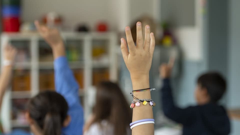 Kinder von hinten, die die Hand hochhalten