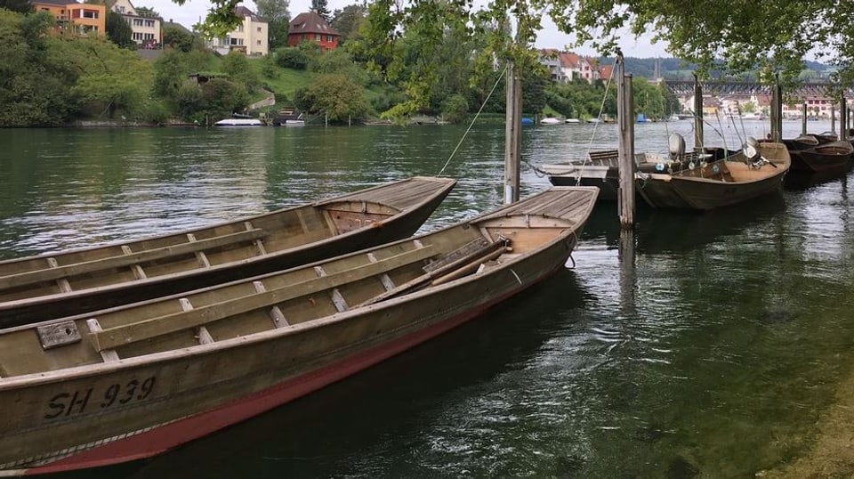 Motorlose Boote auf dem Rhein.