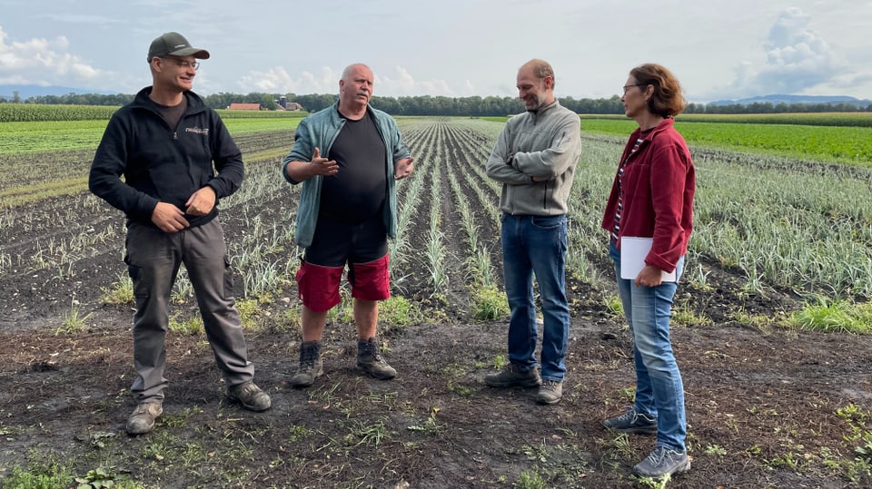 Four people in a field talking