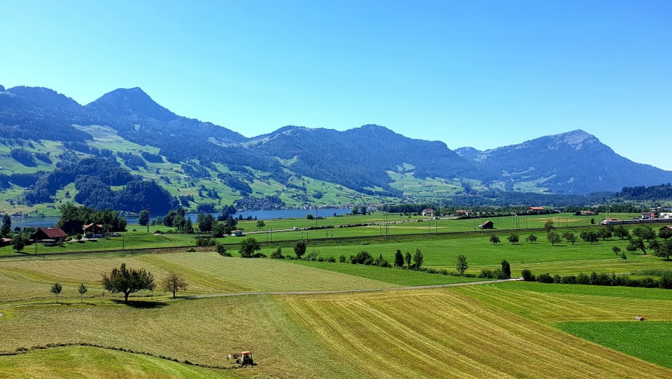 Blick über die Felder in Schwyz, dahinter die Rigi.