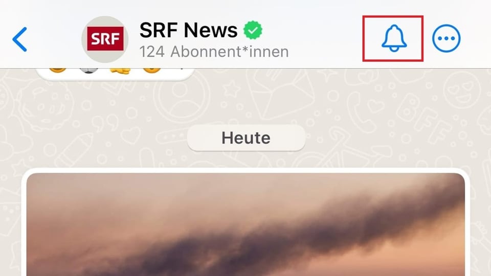 Screenshot Whatsapp.