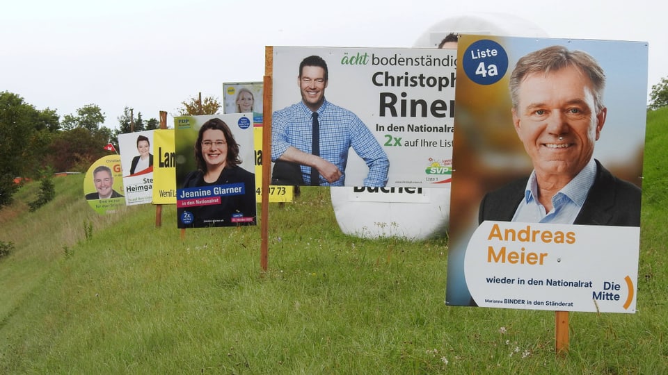 Wahlplakate Mitte, SVP und FDP auf einer Wiese