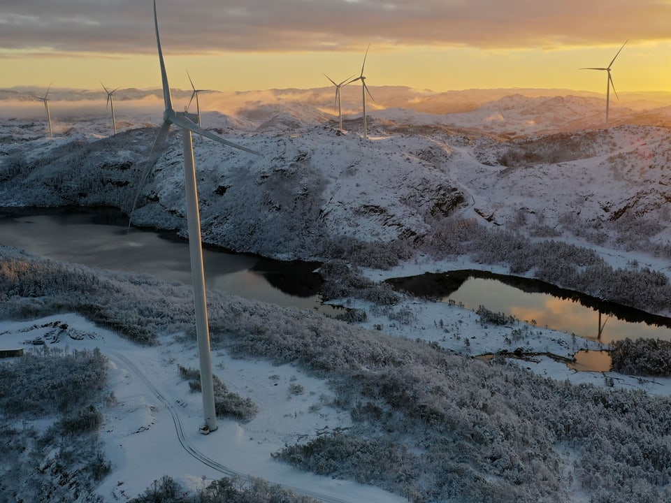 22 Windturbinen in Norwegen liefern dem Elektrizitätswerk der Stadt Zürich Strom.