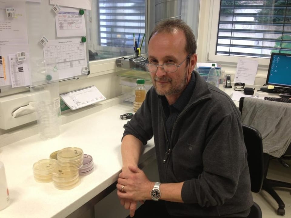 Mikrobiologe Mark Prisco im Labor mit den gezüchteten Handschuh-Bakterien.
