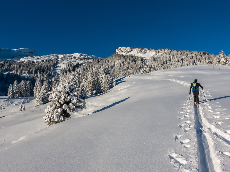 Ein Schneetourenläufer läuft durch eine tief verschneite Landschaft. Der Himmel ist wolkenlos.