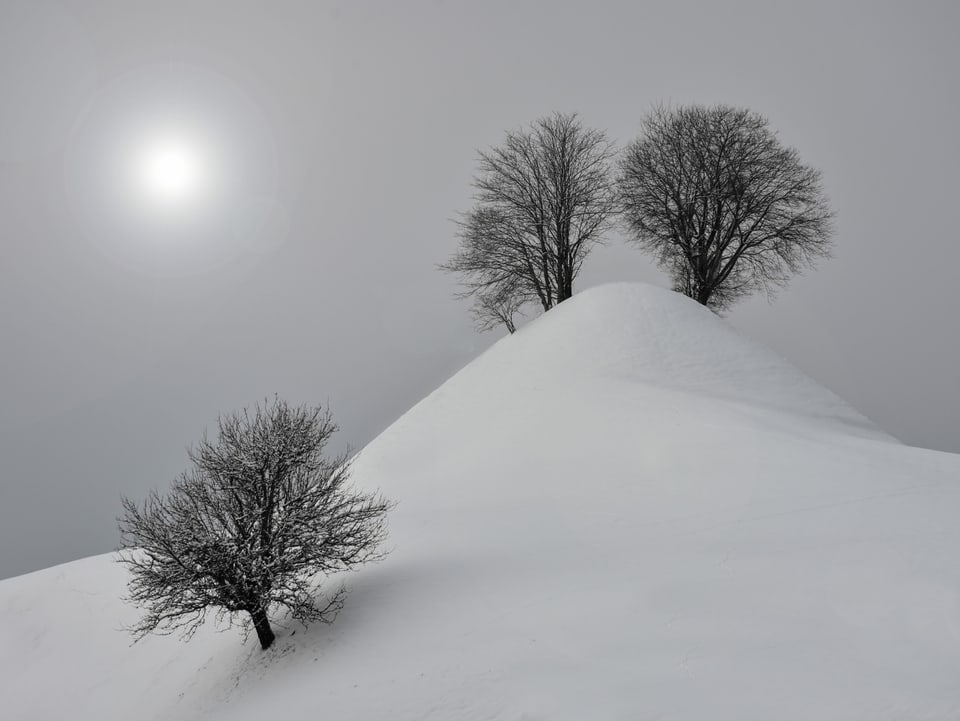 Ein Hügel mit drei Bäumen und die Sonne im Nebel.