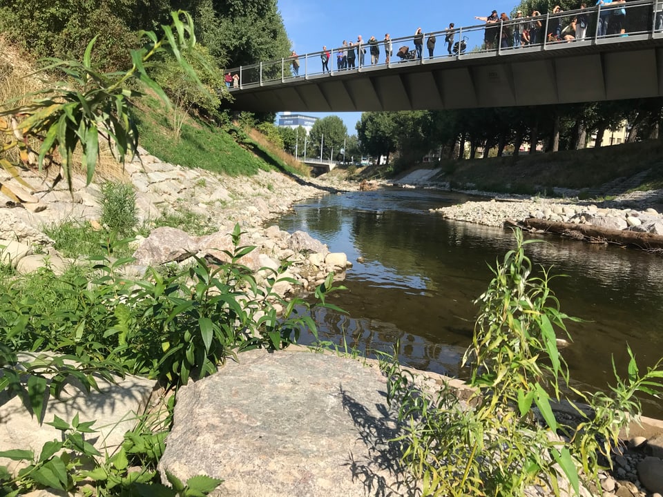 Fluss Wiese im Kleinhüningerquartier. Besucher schauen von der Brücke herab auf den Fluss. 